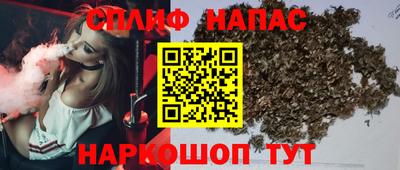 гидропоника Гусь-Хрустальный