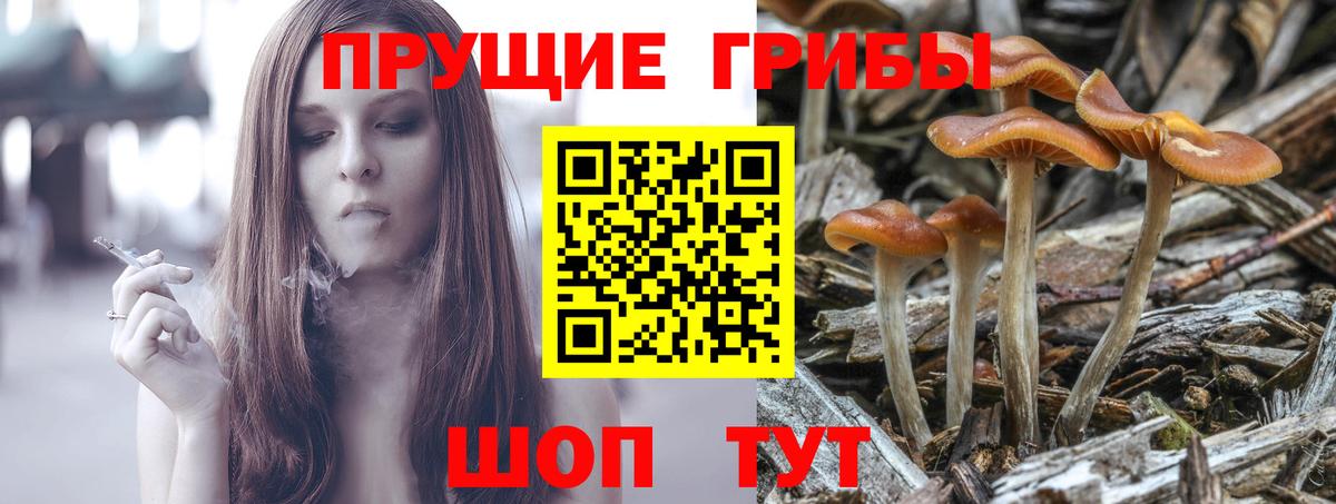 Псилоцибиновые грибы MAGIC MUSHROOMS Воскресенск