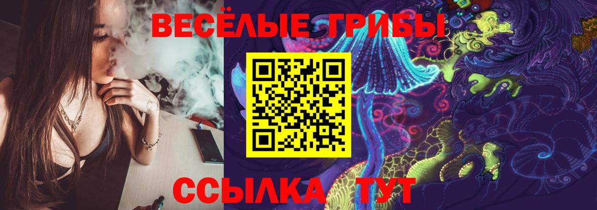 Воскресенск  Галлюциногенные грибы Cubensis  Вход с VPN 